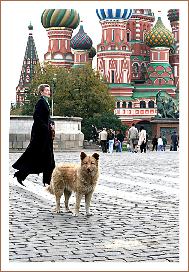 Самый центровой пес России. Или дама с собачкой.