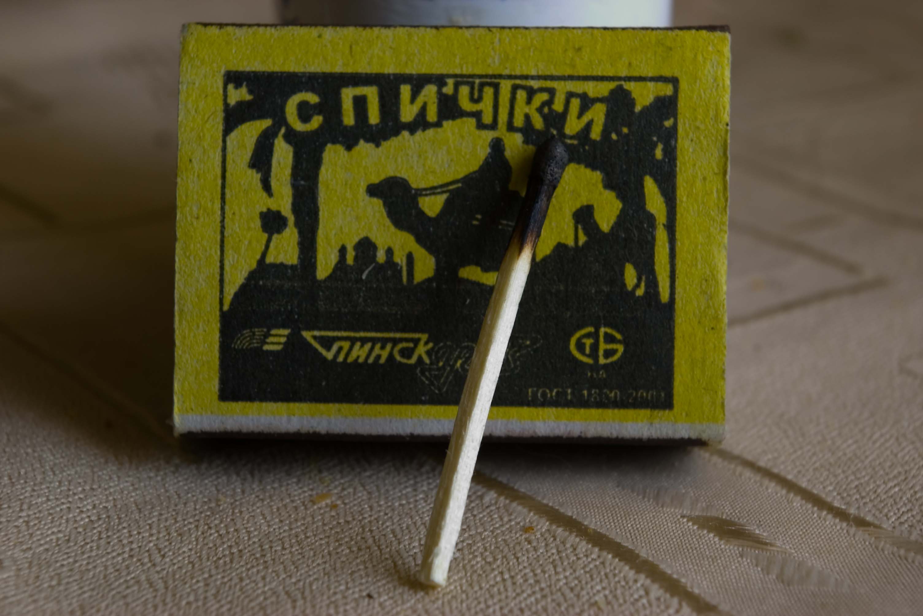 Пинский верблюд