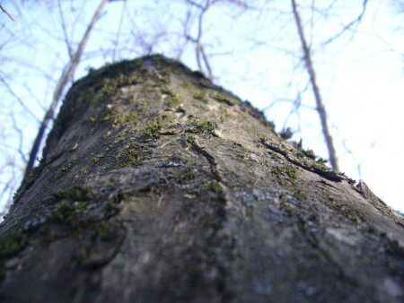 немного природы...