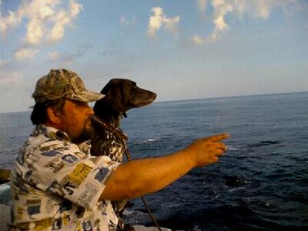 друг человека