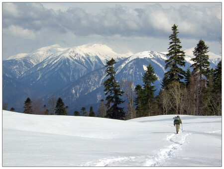 Дорога к морю II