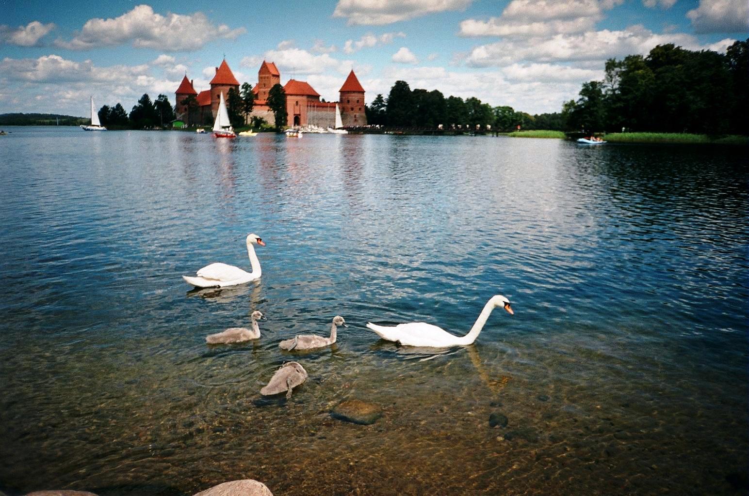 Тракайский замок.