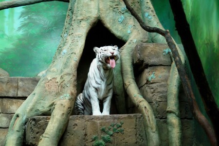 Вот вам всем!!!