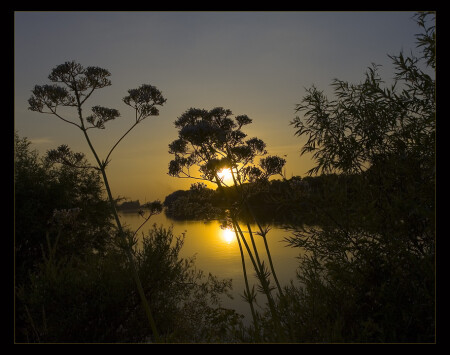 Пора домой...