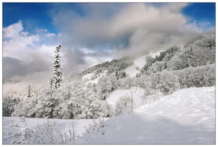 А на утро выпал снег ...