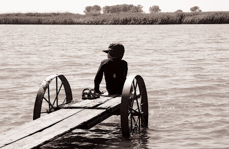 мертвый донец