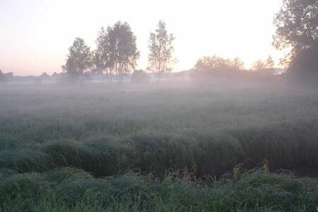 Рассвет