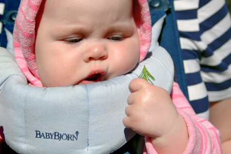 Юный натуралист