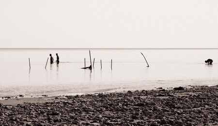 рыбаки решили 