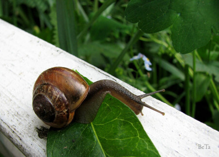 Сложные движенья