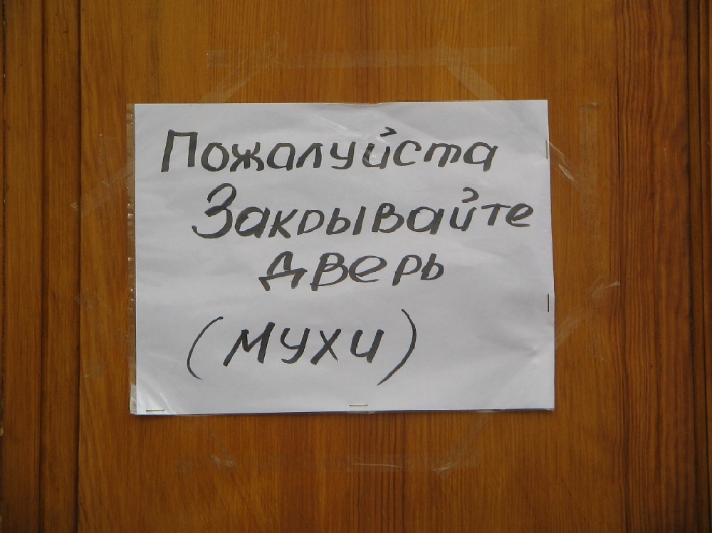 вежливые мухи