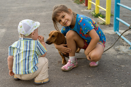 Не бойся, она не кусается!