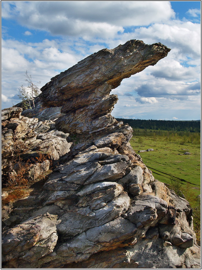Эквилибрист