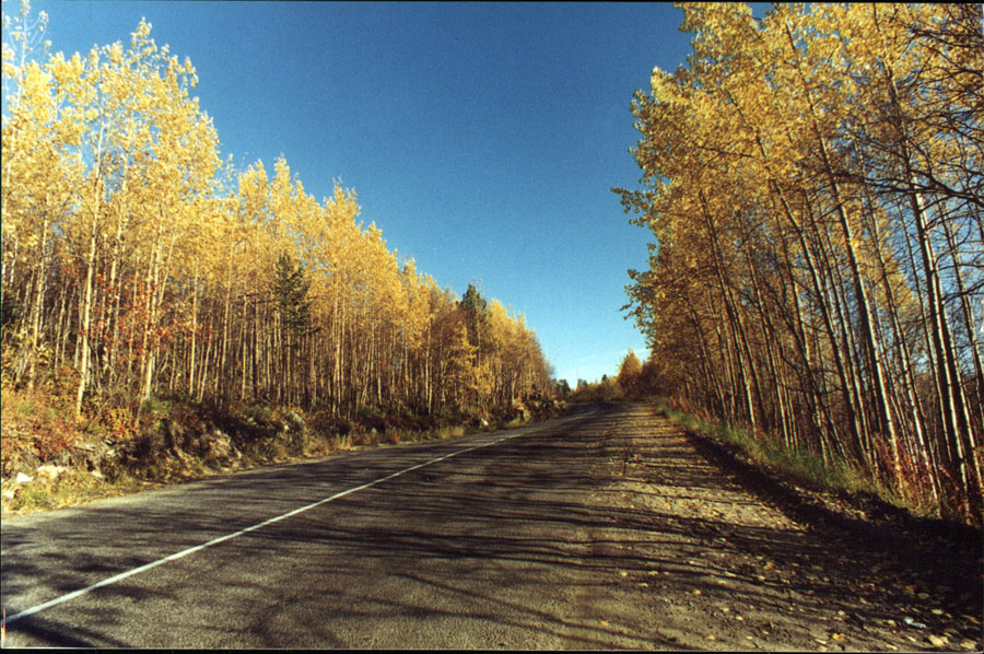 Дорога в Осень.