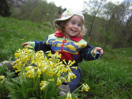 Цветы жизни...