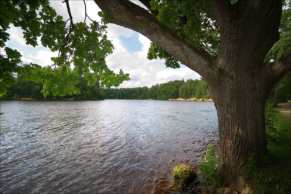 У реки