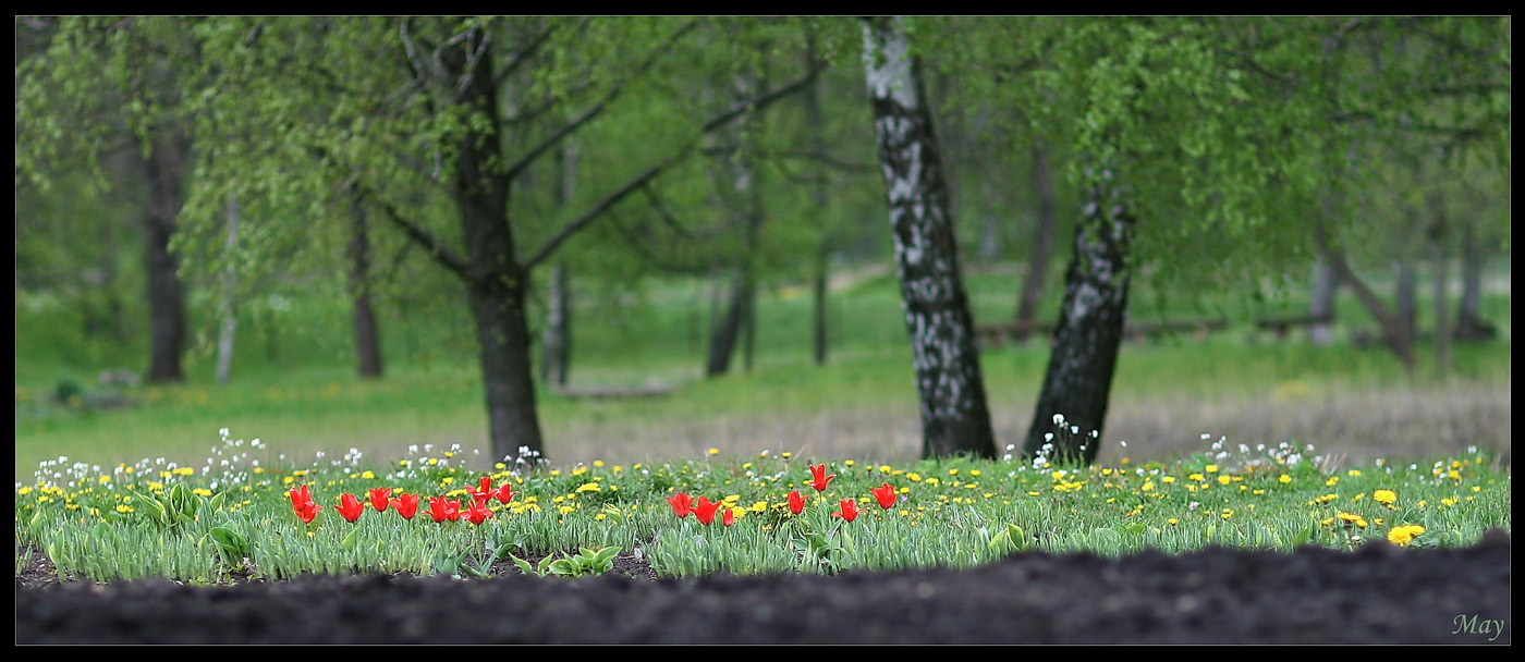 May