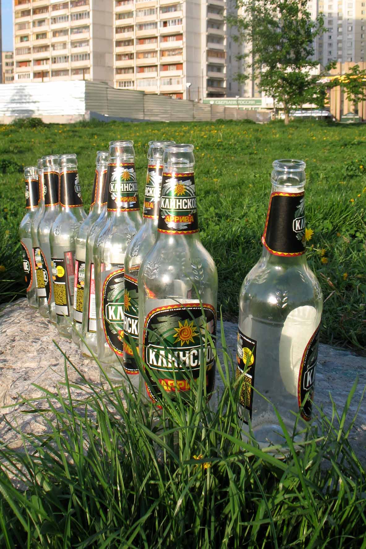 ...как жар горя 33...