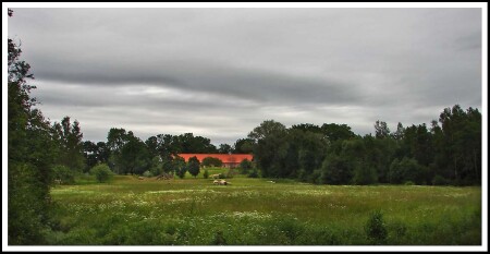 pasmurnaja progulka