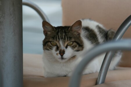 Я всех имел!