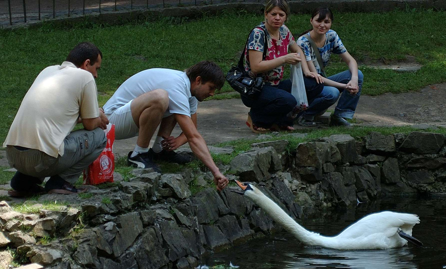 Убрать пакшы...!!!