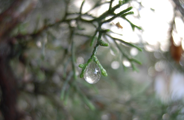 A Drop