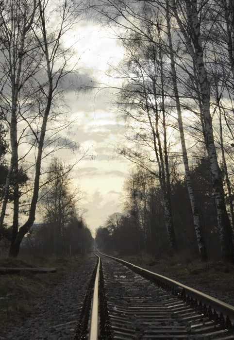 Колея