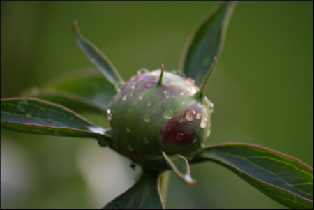 Так вот ты какой!