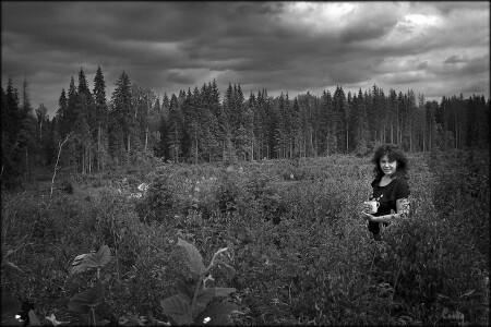 По землянику-ягоду