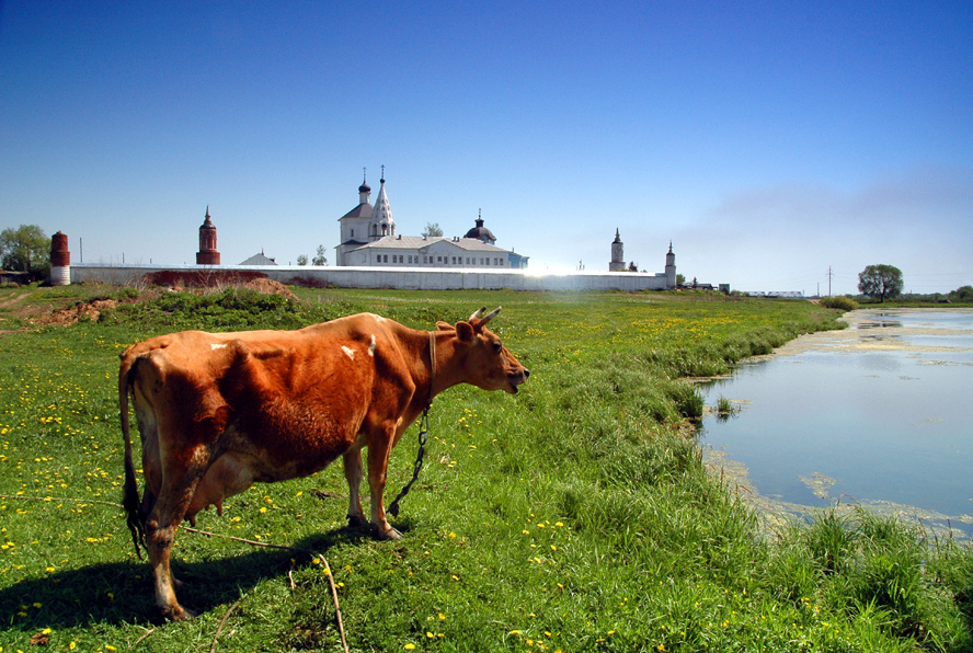 Деревенская пастораль 