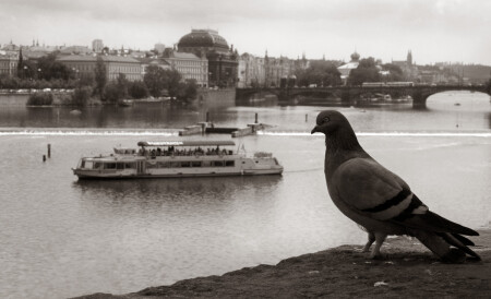 Praha