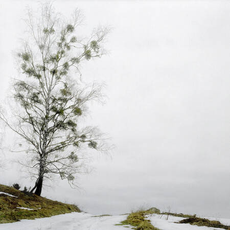a thaw