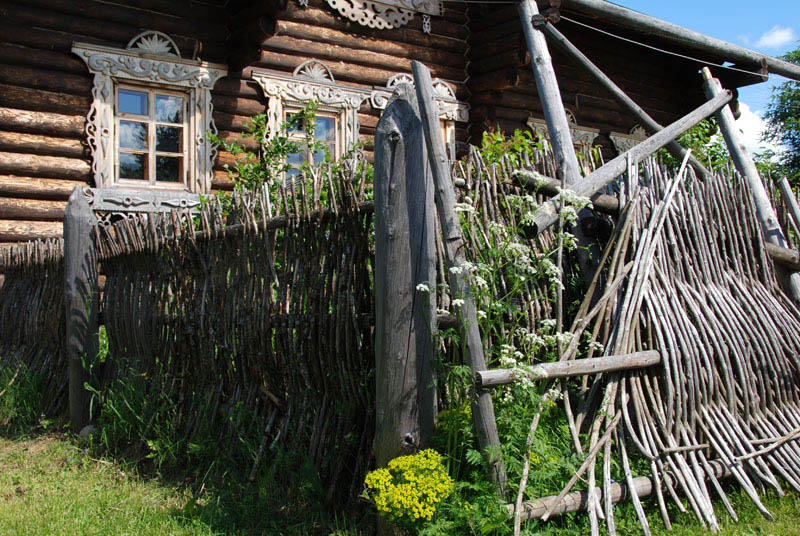 плетень