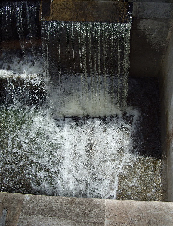 Водная &quot;звездня&quot;