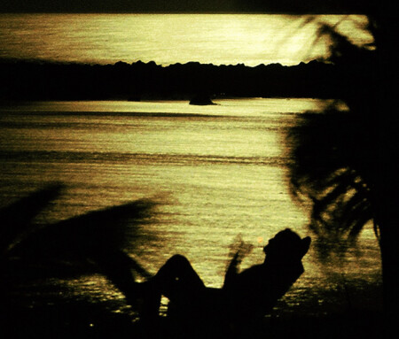 Moonlight shadow