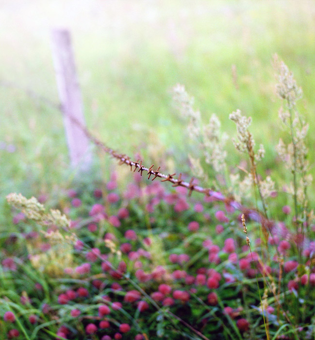 soft and sharp