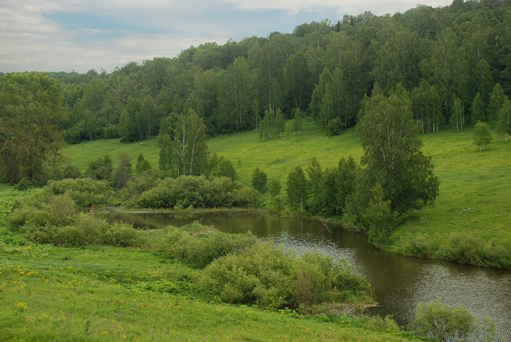 Тишина одиночества