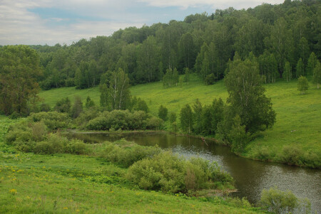 Тишина одиночества