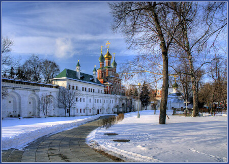 В Новодевичьем
