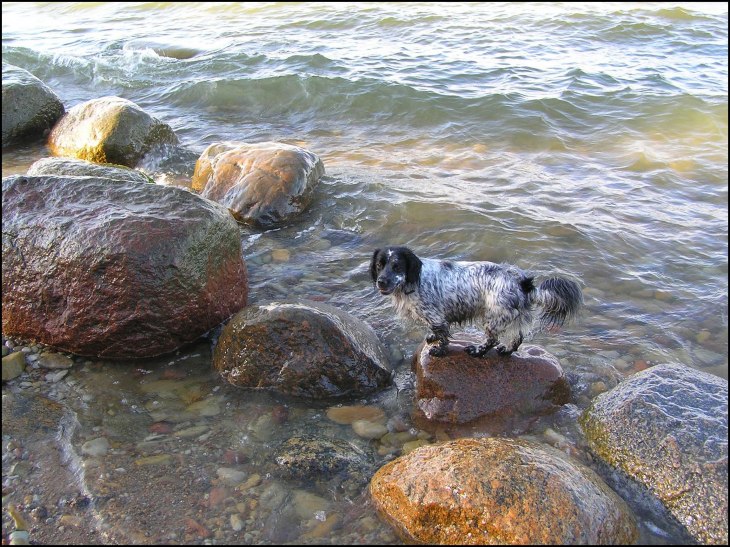Вода и камни