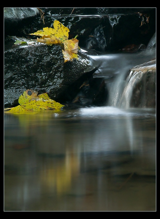 ** Barevna voda ... цветная вода **