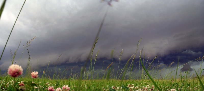summer storm 