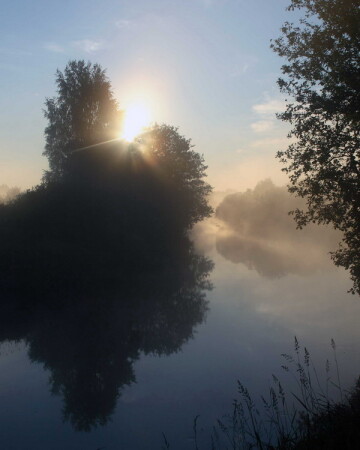 утренний туман