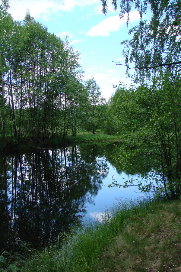 зеркало