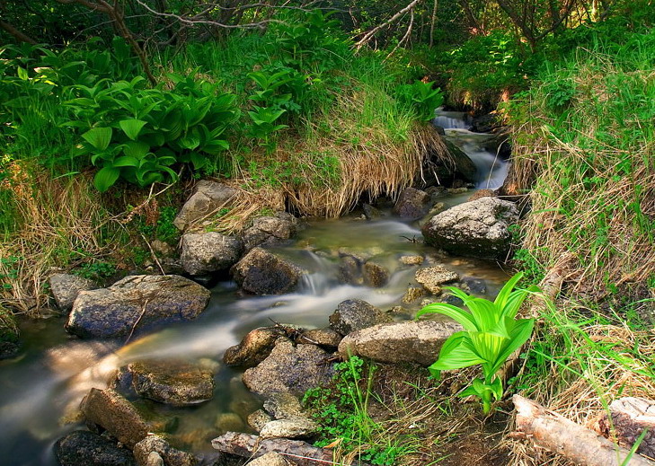 Пейзаж с длинной водой