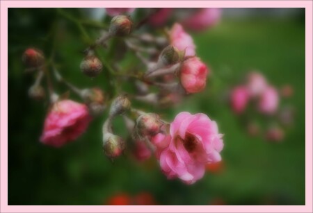 Японские мотивы по-московски