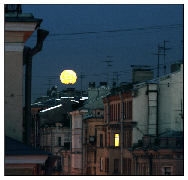 белые ночи 