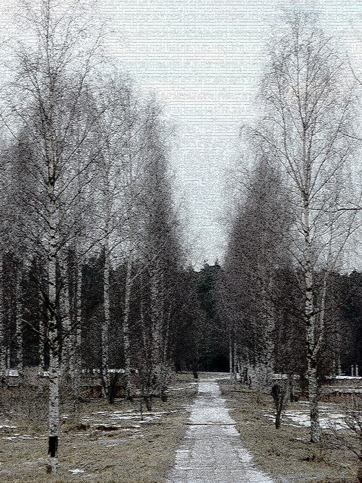 кружева 