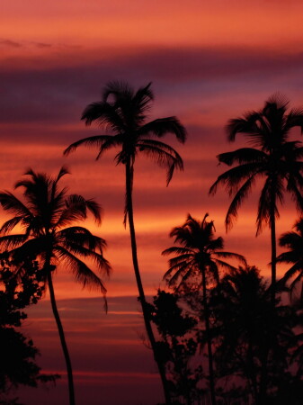 Goa sunset