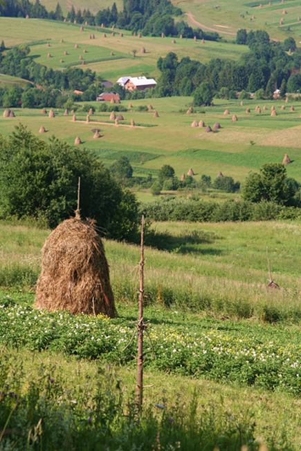 поляна с сеном